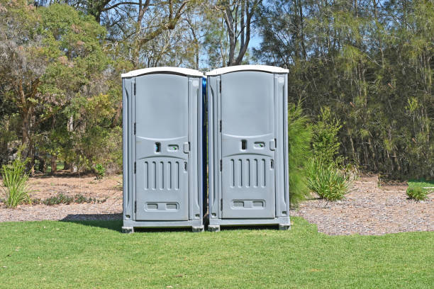 Best Portable Toilets with Baby Changing Stations in Hilbert, WI